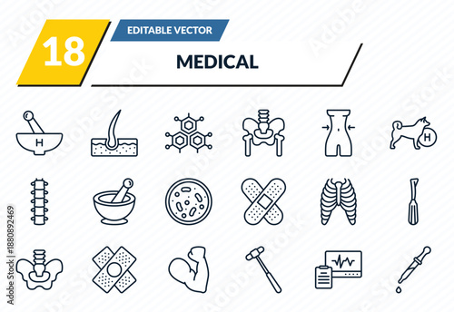 medical icons set - medicines bowl, dermis, molecular structure, diagtic, eye dropper outline vector collection.
