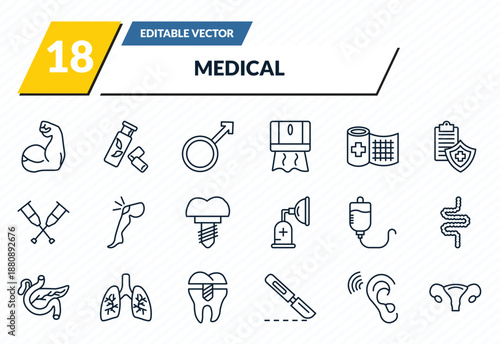 medical icons set - arm, gum, male, ear, uterus outline vector collection.