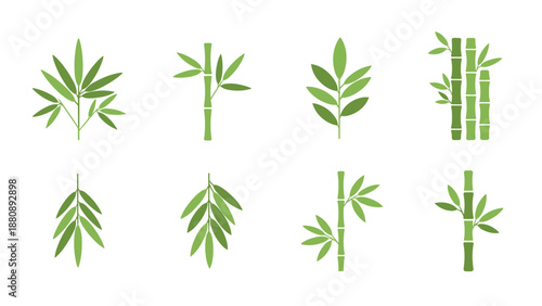 Set of green bamboo stems and leaves in flat design
