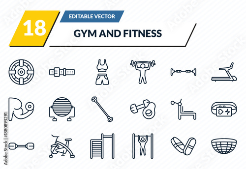 gym and fitness icons set - iron shoot, athletic strap, female sportwear, pill and tablet, bosu ball outline vector collection.