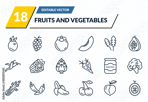 fruits and vegetables icons set - passion fruit, grapes, mangosteen, peach, durian outline vector collection.