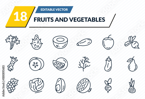 fruits and vegetables icons set - parsley, dragon fruit, coconut, beetroot, onion outline vector collection.