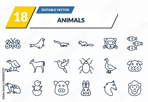animals icons set - moth, sea lion, mongoose, wild horse, orangutan outline vector collection.