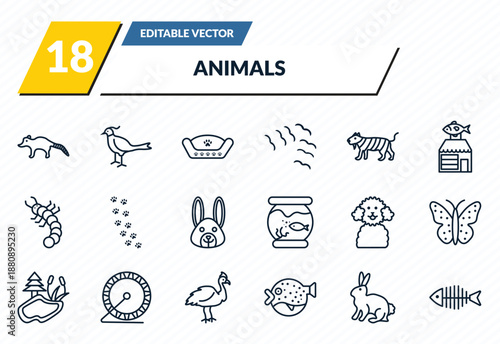 animals icons set - coati, pheasant, pet bed, sitting rabbit, fish bone outline vector collection.
