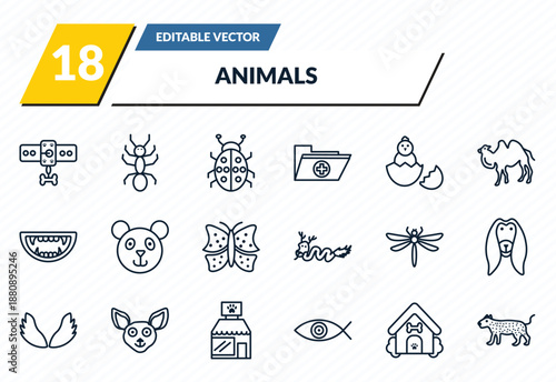 animals icons set - leash, ant, ladybird, dog house, leopard outline vector collection.