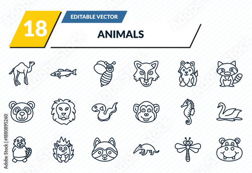 animals icons set - camel, pike, wasp, dragonflay, hippopotamus outline vector collection.