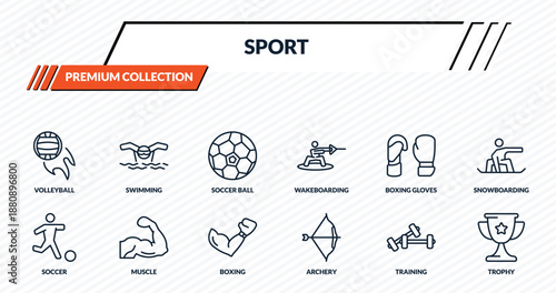 sport icons set - volleyball, swimming, soccer ball, muscle, trophy outline vector collection.