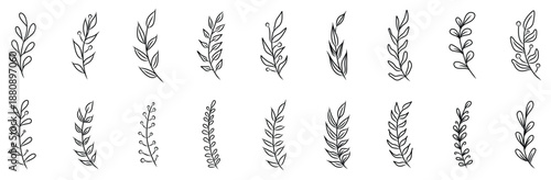 Collection of hand drawn autumn leaves and branches. Elegant botanical vector illustration set. Seasonal design elements. Vector illustration.