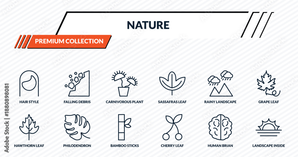 Fototapeta premium nature icons set - hair style, falling debris, carnivorous plant, philodendron, landscape inside frame outline vector collection.