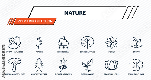 nature icons set - sugar maple tree, prairie, night snow, arborvitae tree, four leaf clover outline vector collection.