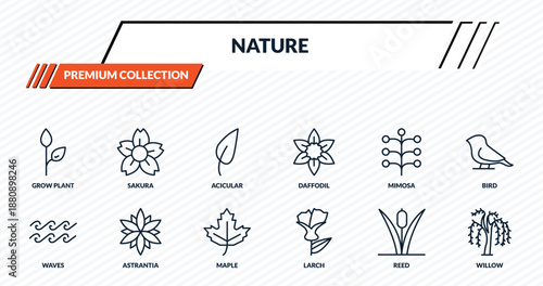 nature icons set - grow plant, sakura, acicular, astrantia, willow outline vector collection.