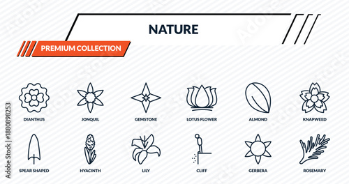 nature icons set - dianthus, jonquil, gemstone, hyacinth, rosemary outline vector collection.