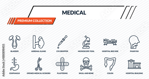 medical icons set - bladder, adrenal gland, eye dropper, opened medical scissors, hospital building front outline vector collection.