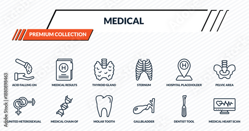 medical icons set - acid falling on hand, medical results folders, thyroid gland, medical chain of dna, heart scan outline vector collection.