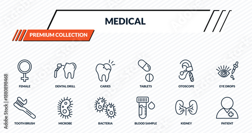 medical icons set - female, dental drill, caries, microbe, patient outline vector collection.
