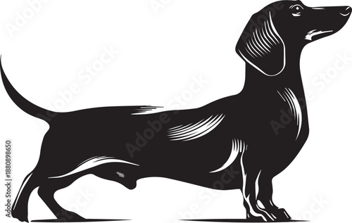 Dachshund Dog Silhouette Black Vector Illustration