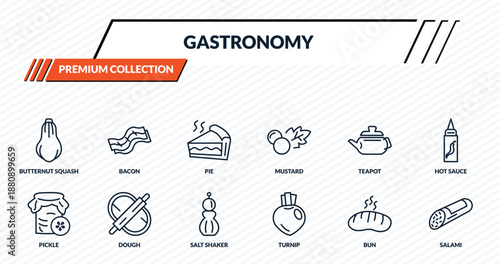 gastronomy icons set - butternut squash, bacon, pie, dough, salami outline vector collection.