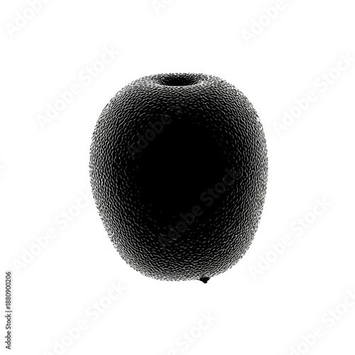 Iconic Black Vector Silhouette of an Intricate Detailed Pollen Grain
