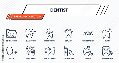 dentist icons set - dental folder, clean tooth, broken tooth, inner tooth, molar crown outline vector collection.