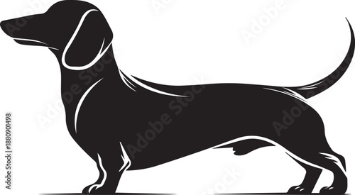 Dachshund Dog Silhouette Black Vector Illustration