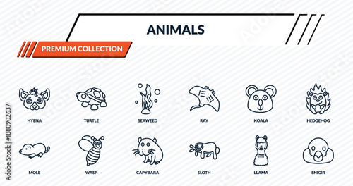 animals icons set - hyena, turtle, seaweed, wasp, snigir outline vector collection.