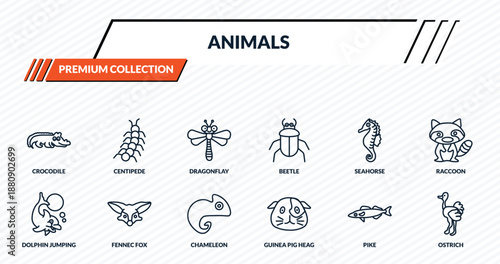 animals icons set - crocodile, centipede, dragonflay, fennec fox, ostrich outline vector collection.