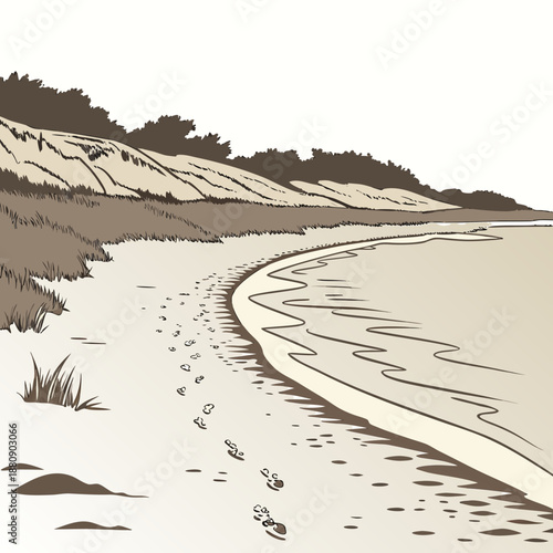 Coastal dunes with footprints on sandy beach near water's edge