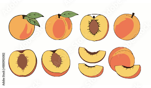 Butter pieces margarine and dairy spreads vector illustration collection isolated on white