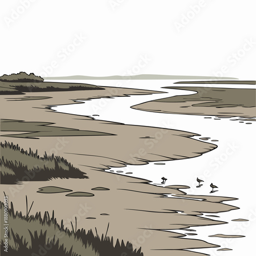 Coastal flat terrain near tide boundary with birds