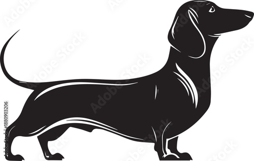 Dachshund Dog Silhouette Black Vector Illustration