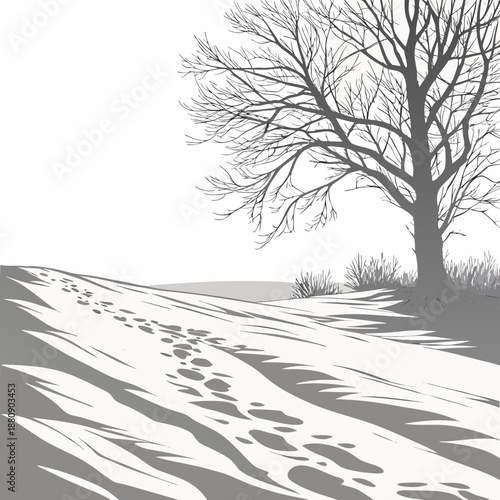 Snowfield with bare tree and footprints in soft shadows