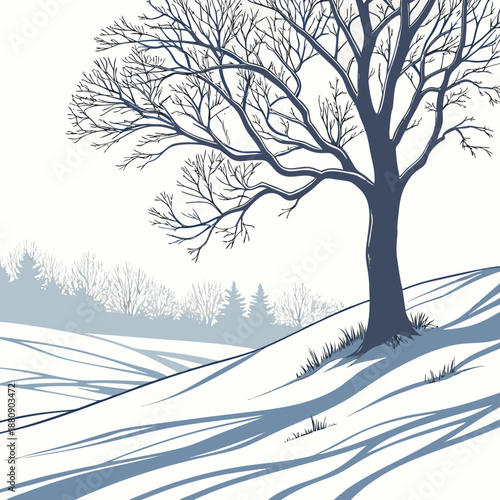 Snowfield with bare tree and layered soft shadows layered shadows