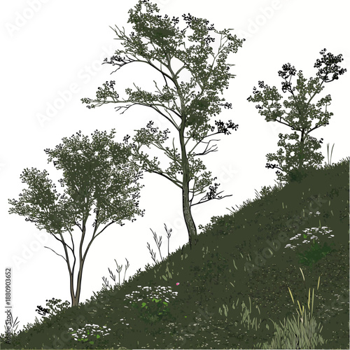 Forest hill base with scattered plants realistic trees