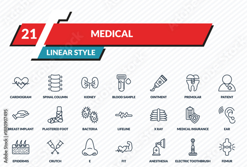 medical icons set - cardiogram, spinal column, kidney, electric toothbrush, femur outline vector collection.