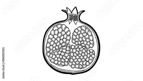 detailed line art showing the cross-section of a pomegranate fruit revealing the inner seeds for coloring pages.