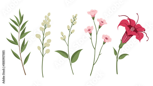 various types of green leaves and delicate pink flowers are presented in this minimalist botanical illustration set.