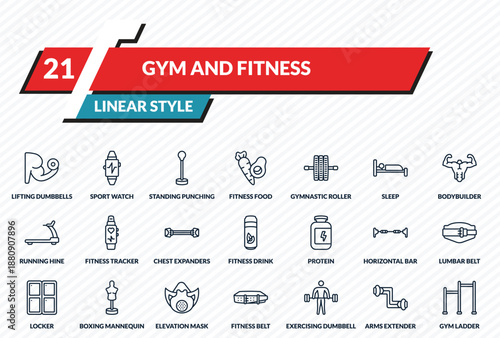 gym and fitness icons set - lifting dumbbells, sport watch, standing punching ball, arms extender, gym ladder outline vector collection.