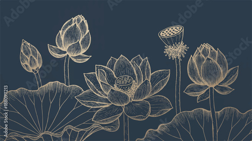 A detailed line art illustration of lotus flowers and buds against a deep navy blue background.