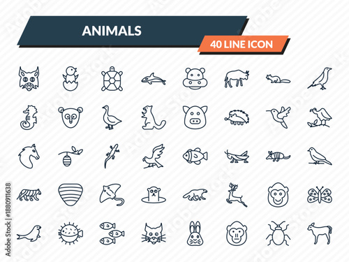 animals icons set - pallas cat, chick, tortoise, bedbug, calf outline vector collection.