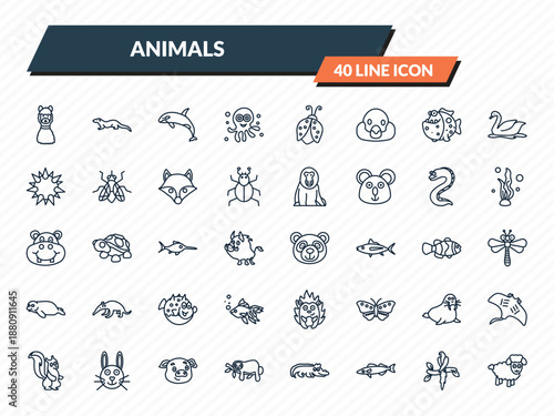animals icons set - lama, mink, grampus, aw, male sheep outline vector collection.