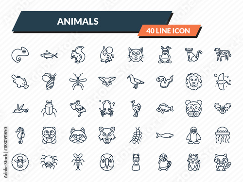 animals icons set - chameleon, salmon, squirrel, siberian husky, raccoon outline vector collection.