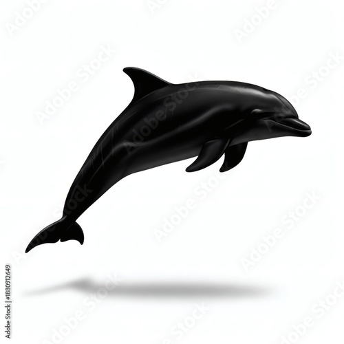 Dolphin Silhouette Isolated on White Background