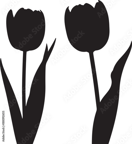 Elegant Black Tulip Silhouette Isolated on White Background for Floral Design