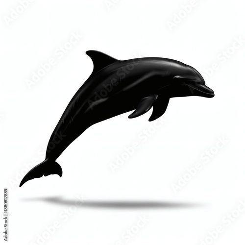 Dolphin Silhouette Isolated on White Background