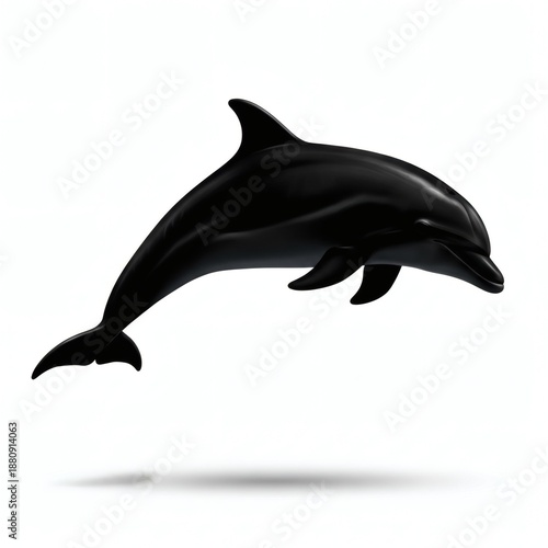 Dolphin Silhouette Isolated on White Background
