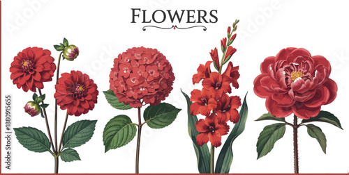 Collection of beautiful red flowers including dahlias, hydrangea, gladiolus, and peony