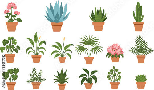 Colorful potted houseplant collection illustration featuring tropical plants, succulents, flowers, and indoor greenery icons for home decor, gardening, and botanical design projects