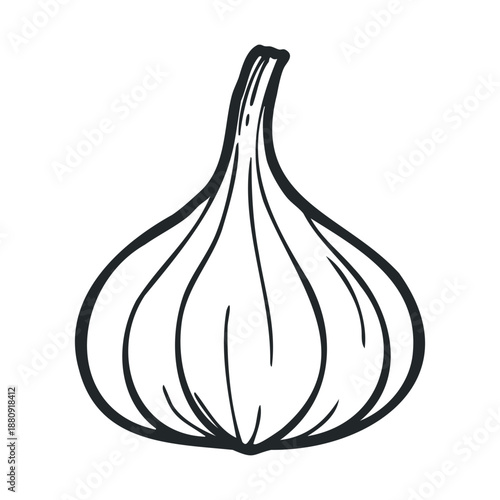 Garlic bulb illustration with a stylized black outline on a clean, minimalist design, perfect for culinary themes and healthy eating concepts.