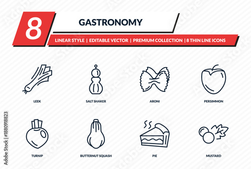 gastronomy icons set - leek, salt shaker, aroni, persimmon, mustard outline vector collection.