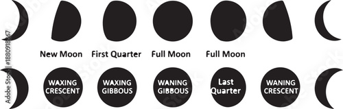 Moon phases cycle diagram with waxing waning crescent gibbous full new last quarter vector illustration flat design